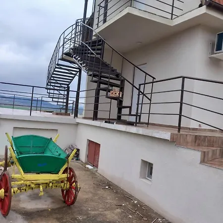 алея * 크레네보